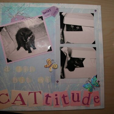 CATtitude