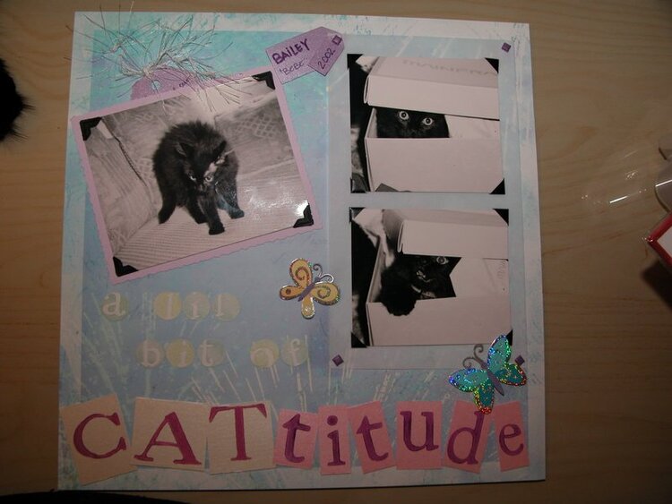 CATtitude