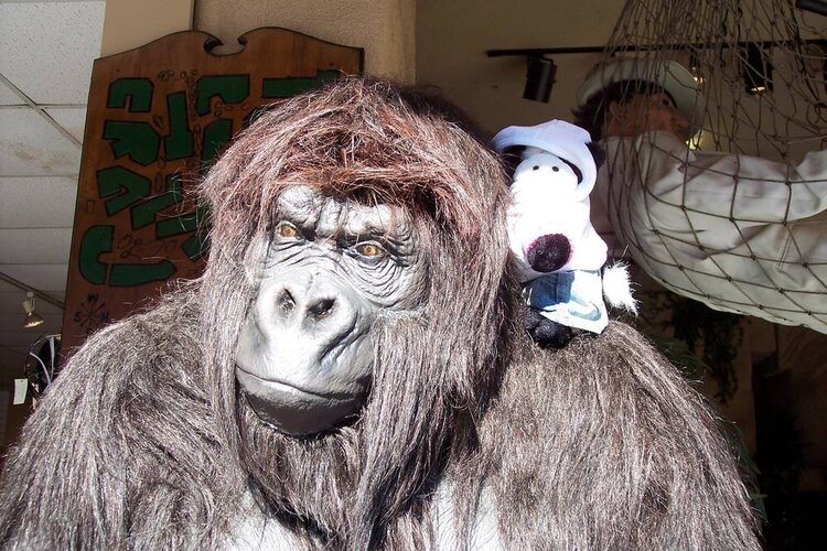 Muumii y el gorila