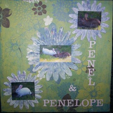 Penel &amp; Penelope