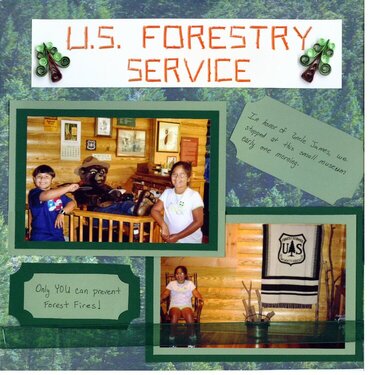 16  US Forestry Service