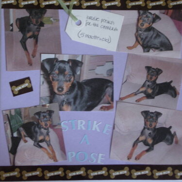 My scrapbook of Brodie