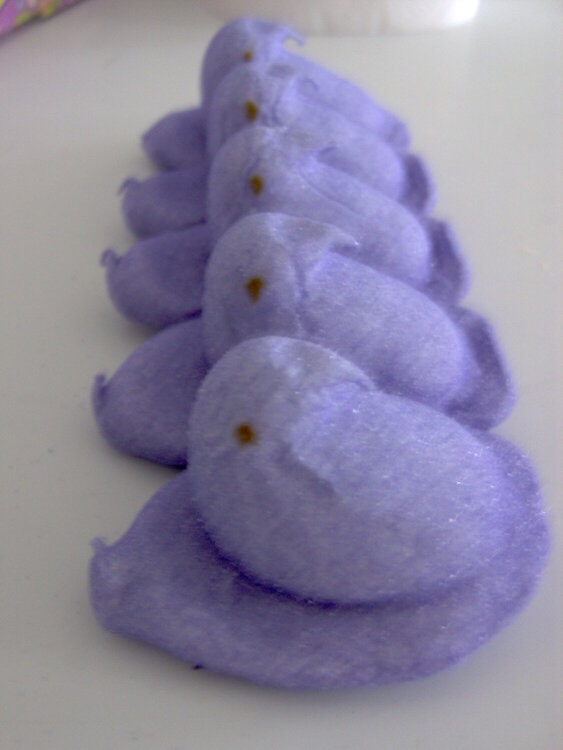 Purple Peeps