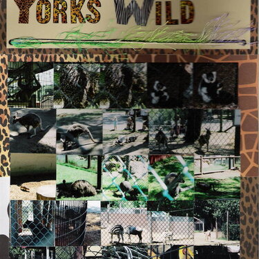 Yorks Wild Animal Kingdom