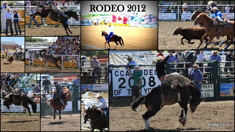 POD #3 - Rodeo 2012