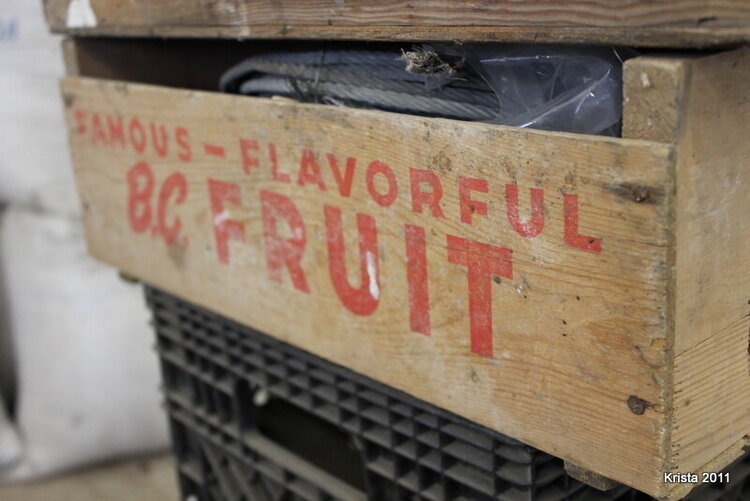 POD #10 - Old Fruit box