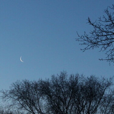 POD #14 - Morning Moon