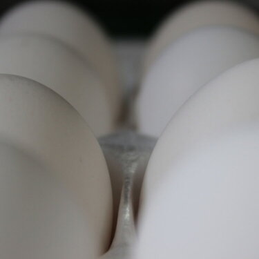 Mini #7 - Eggs