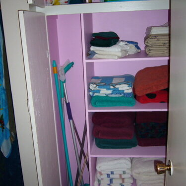 linen and broom closet