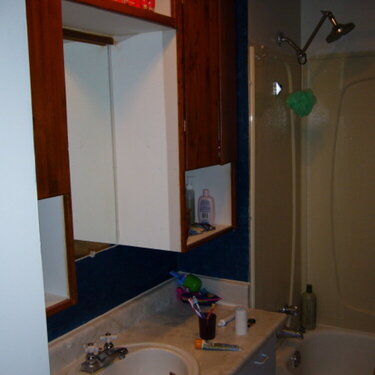 Present Vanity and view of tub
