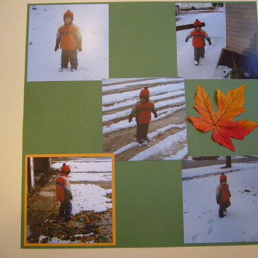 Fall leaves...Winter comes - Page 3