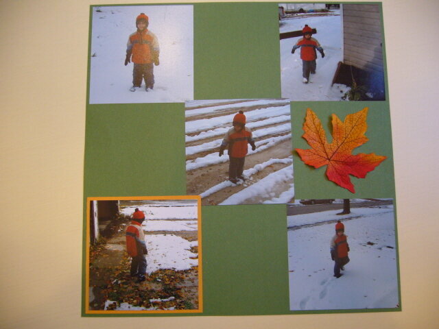 Fall leaves...Winter comes - Page 3