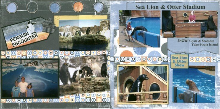 Penguin Encounter &amp;amp; Sea Lion Show