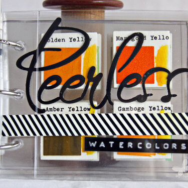 Peerless Watercolor Storage