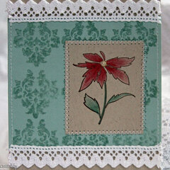 Pretty Poinsettia {New Memory Box}