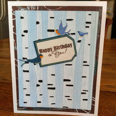 Birch Trees Birthday