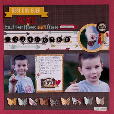 Nine Butterflies **Simple Stories**