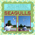 Seagulls