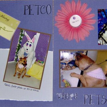 Petco...where Pets go!