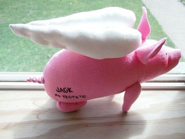 Flying pig **handmade**