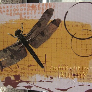 Dragonfly card