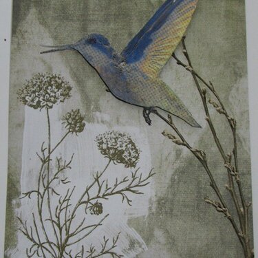  Hummingbird Card