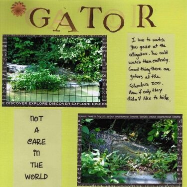 'Gator - May DW2006