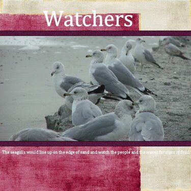 Watchers - DW2008 Aug