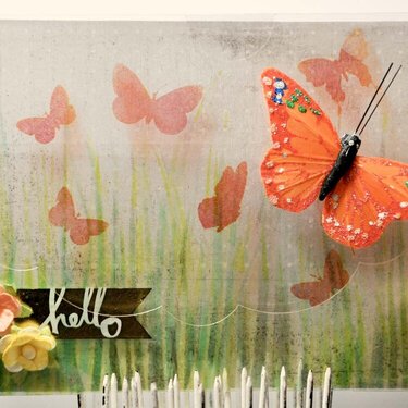 Hello Butterfly Acrylic Card