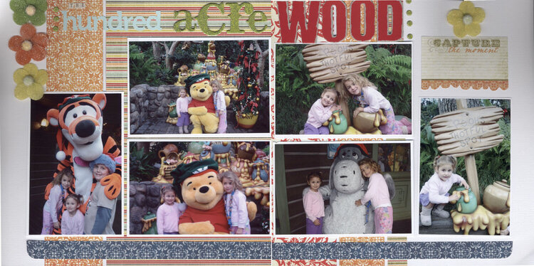 hundred acre wood