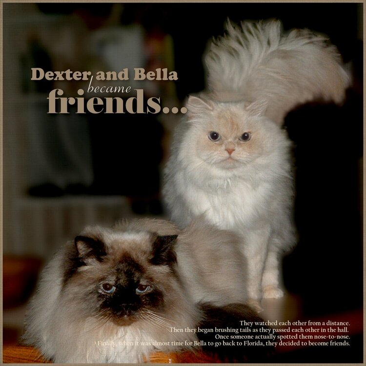 Dexter and Bella became friends...