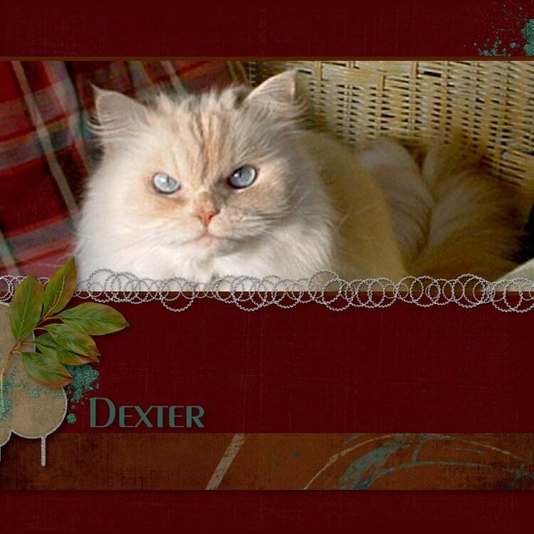 Dexter