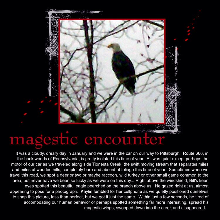 magestic encounter