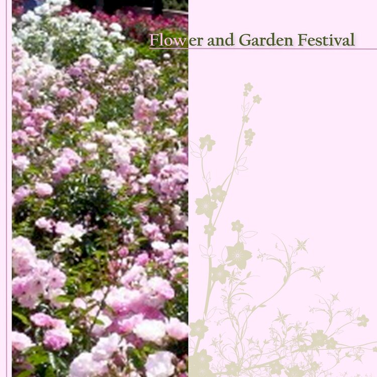Flower and Garden Festival #2