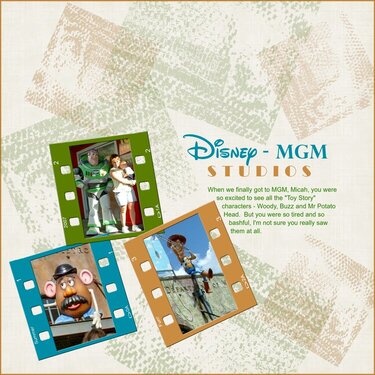 Disney - MGM Studios