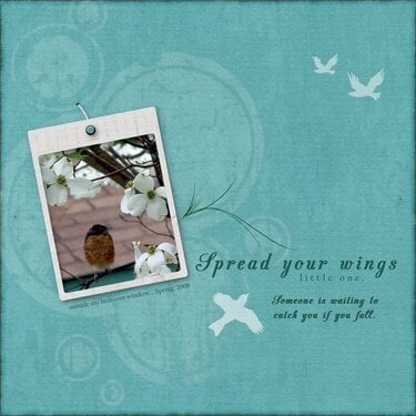 Spread your wings...