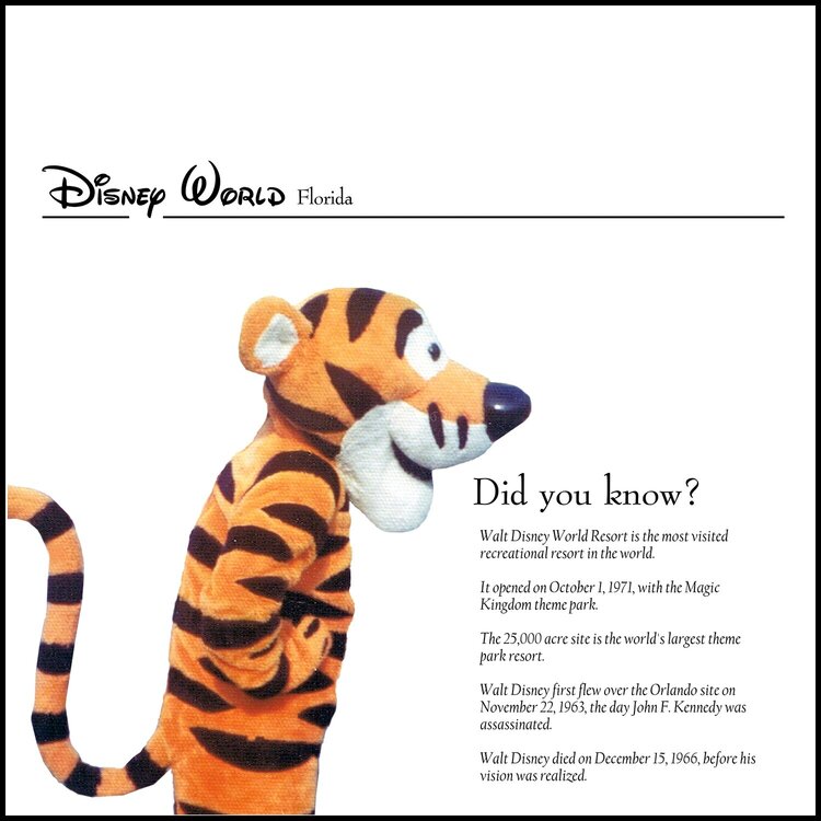 Disney World - Did you know?