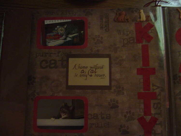Kitty Kat Album