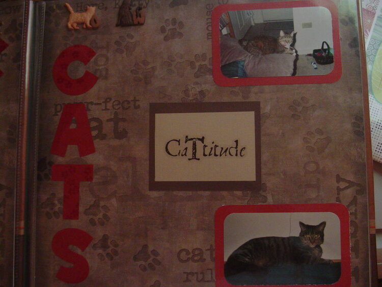 Kitty Kat Album