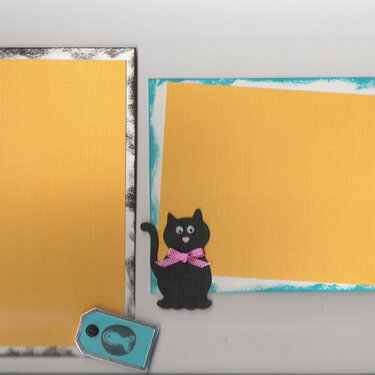 Cat Photo Mats