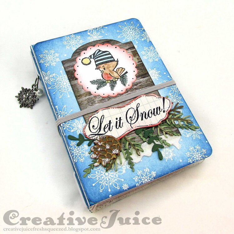Christmas Passport Book mini album
