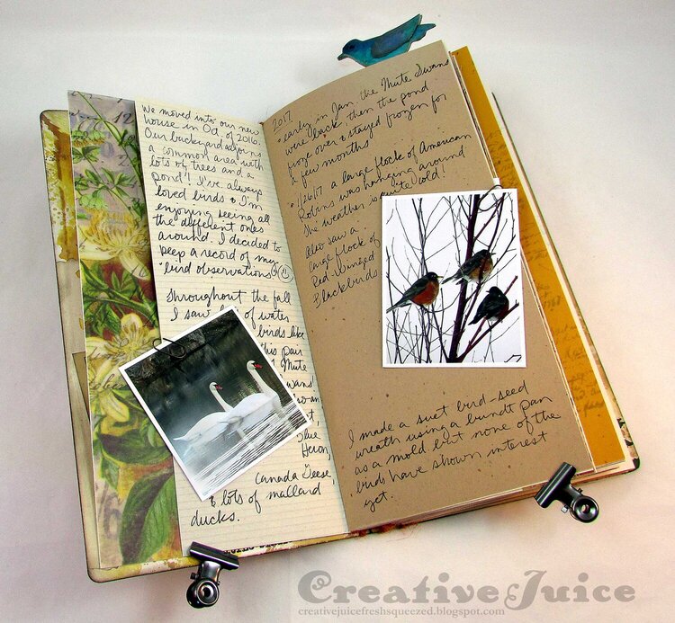 Sizzix Journal Die - bird watching journal