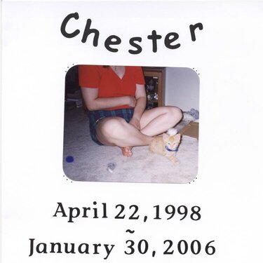 Chester&#039;s Book