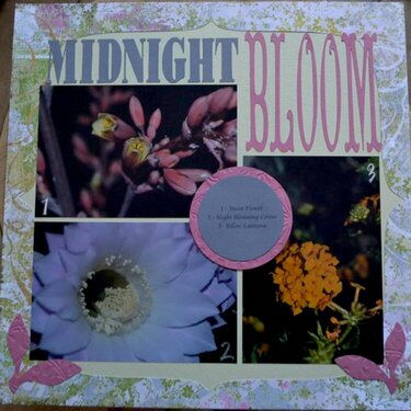 Midnight Bloom