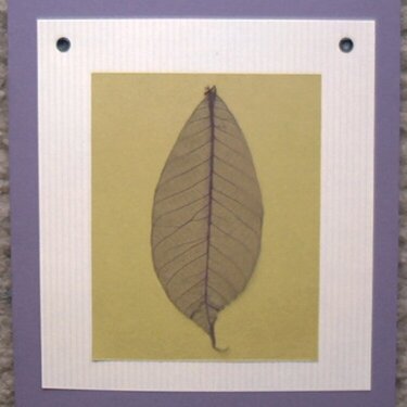 Purple Leaf Card