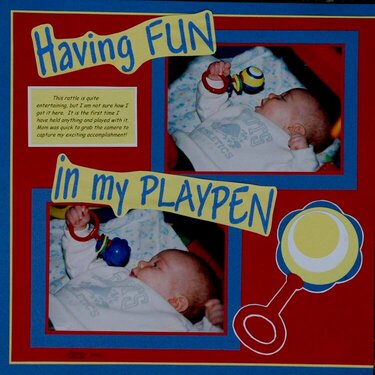 playpen p1