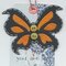 Maya Road Tags - New Butterflies