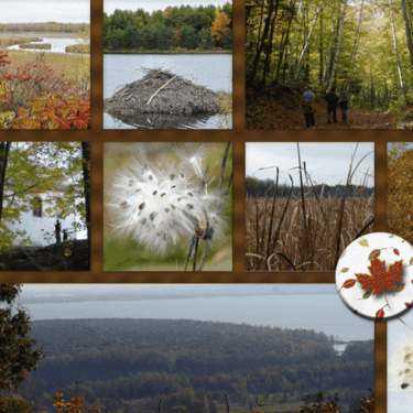 Camping in Oka, Qubec