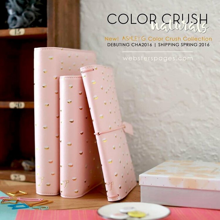 New Color Crush Naturals in A5, Personal and Traveler Sizes from Websters Pages