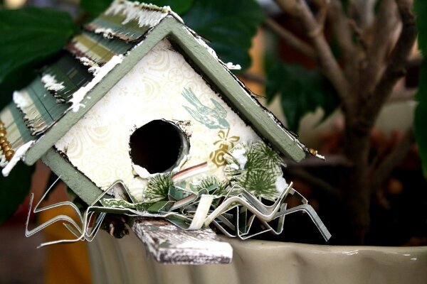 Birdhouse